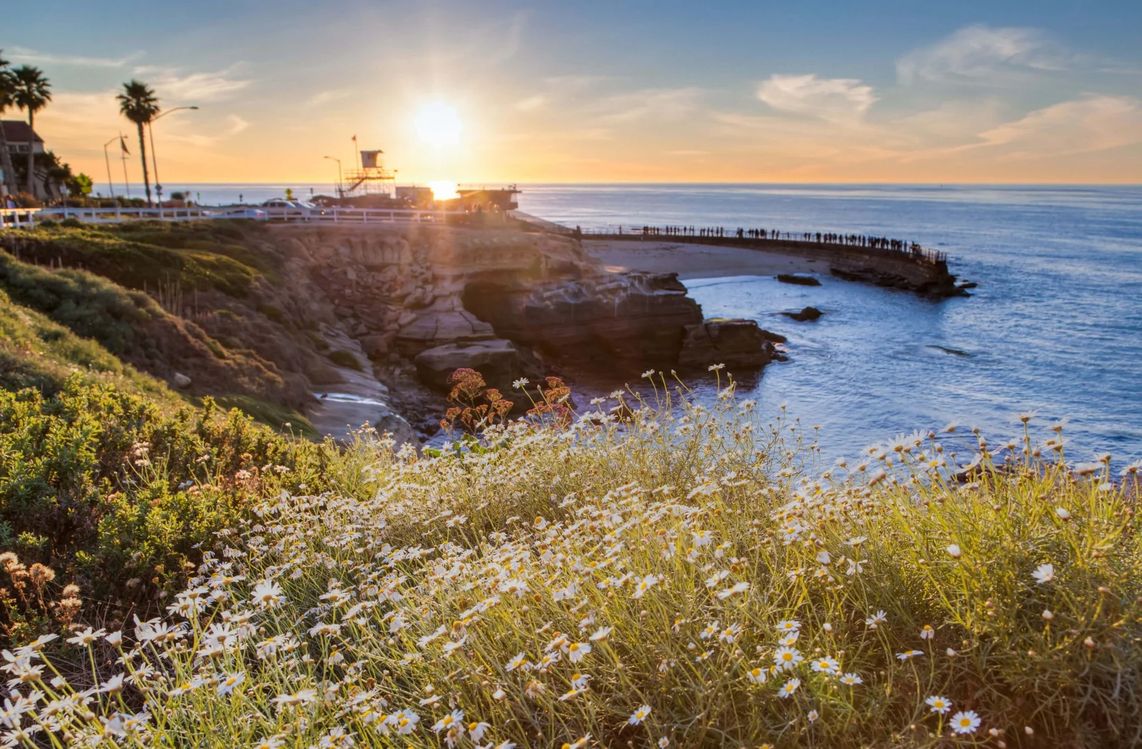 Musikey | San Diego County - La Jolla