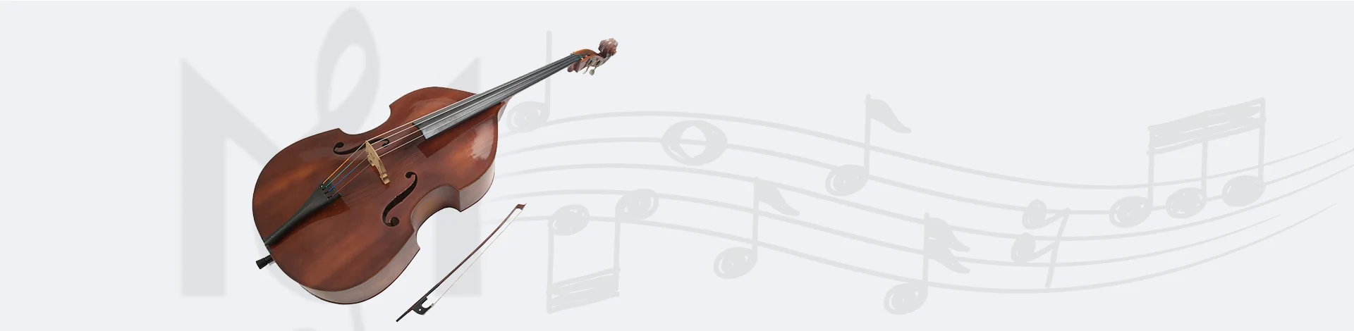 Bass 